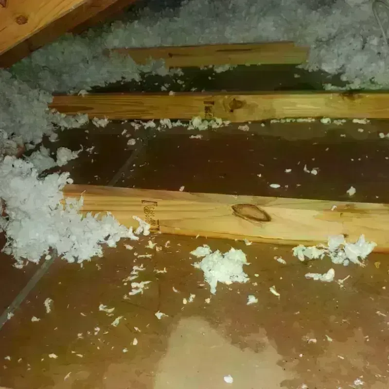 Attic Water Damage in Effingham County, GA